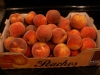 Florida Prince Peaches